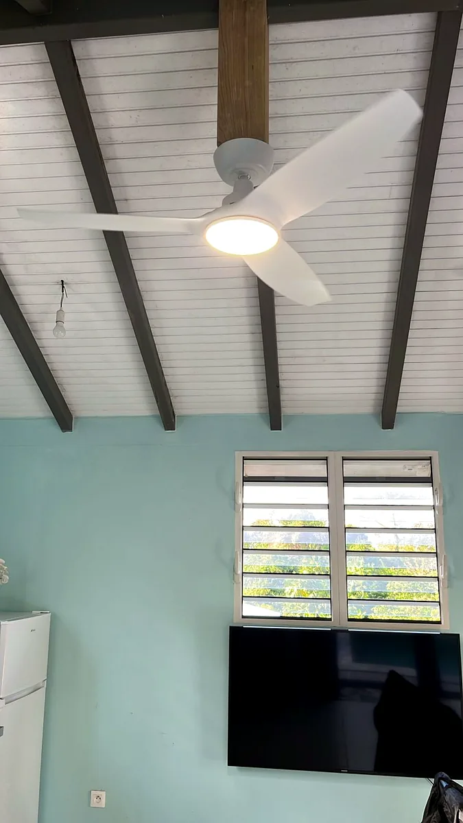 Brasseur d'air FANELITE installé par Liv Énergie en Martinique