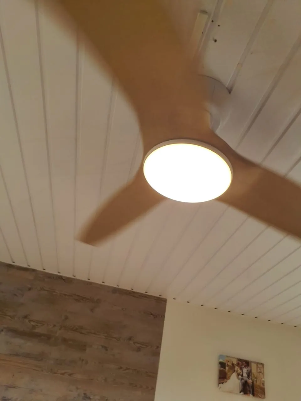 Brasseur d'air FANELITE blanc sous un plafond en lambris bois à Fort-de-France