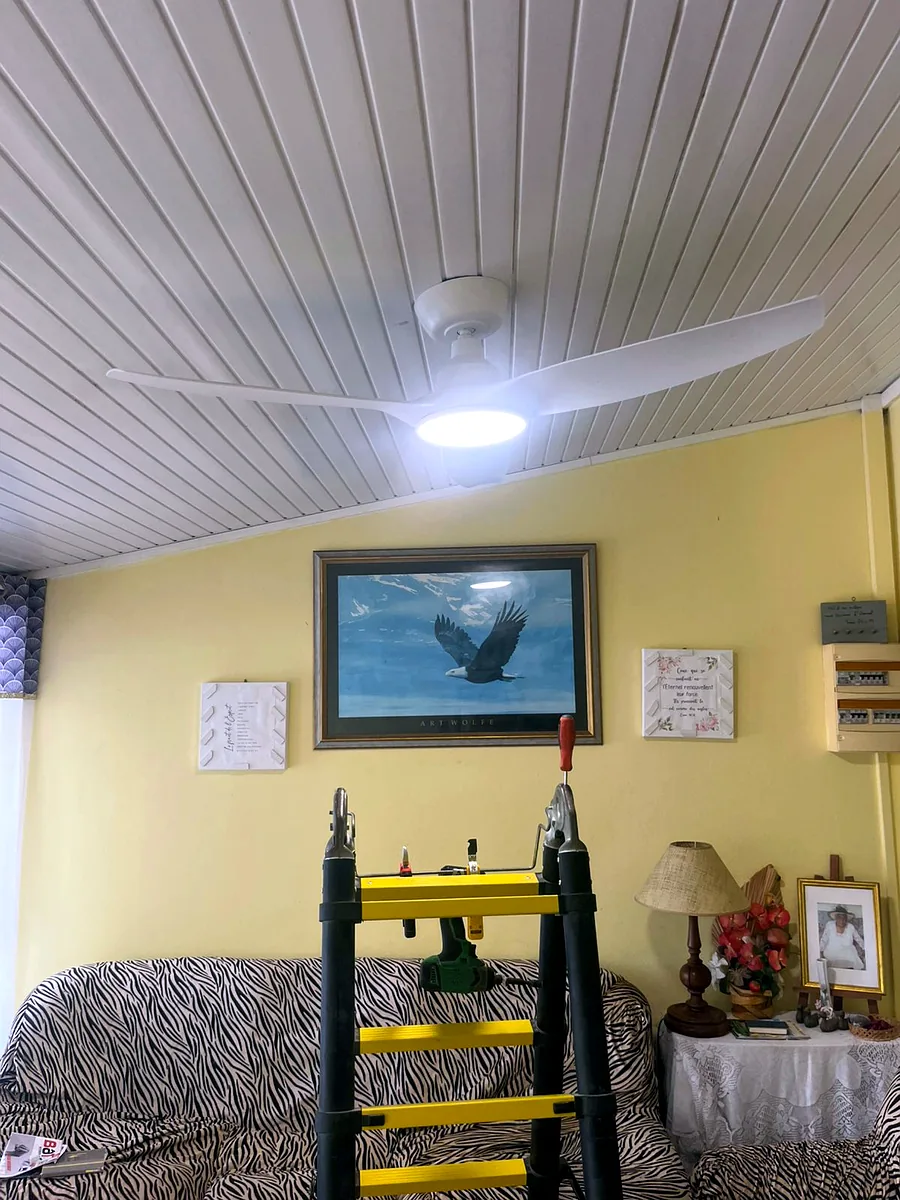 Brasseur d'air FANELITE installé par Liv Énergie en Martinique