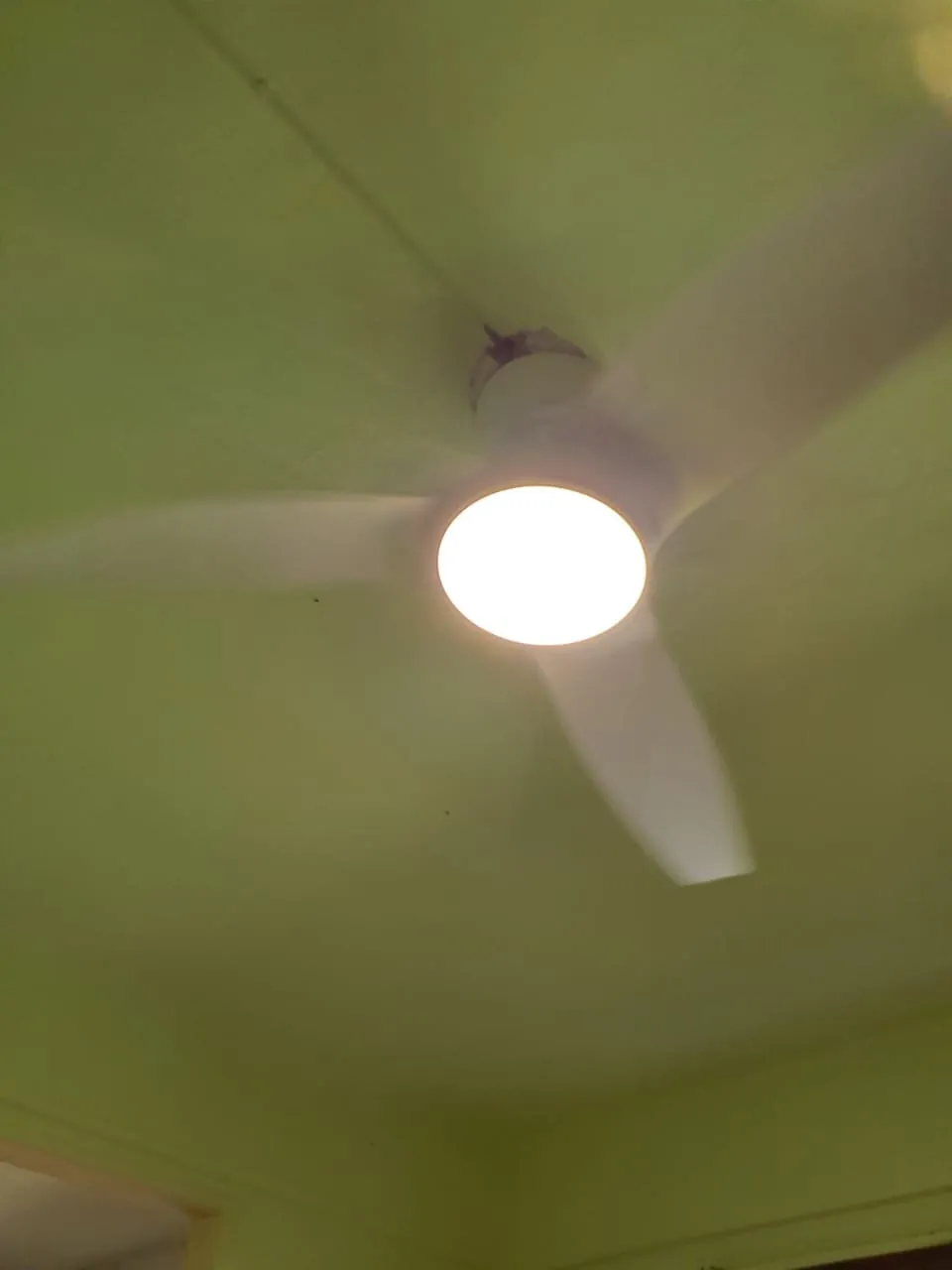 Brasseur d'air FANELITE blanc installé sous un plafond vert au Lamentin