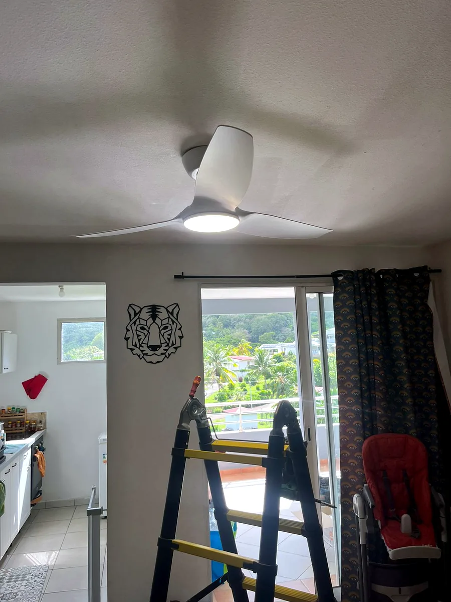 Brasseur d'air FANELITE installé par Liv Énergie en Guadeloupe