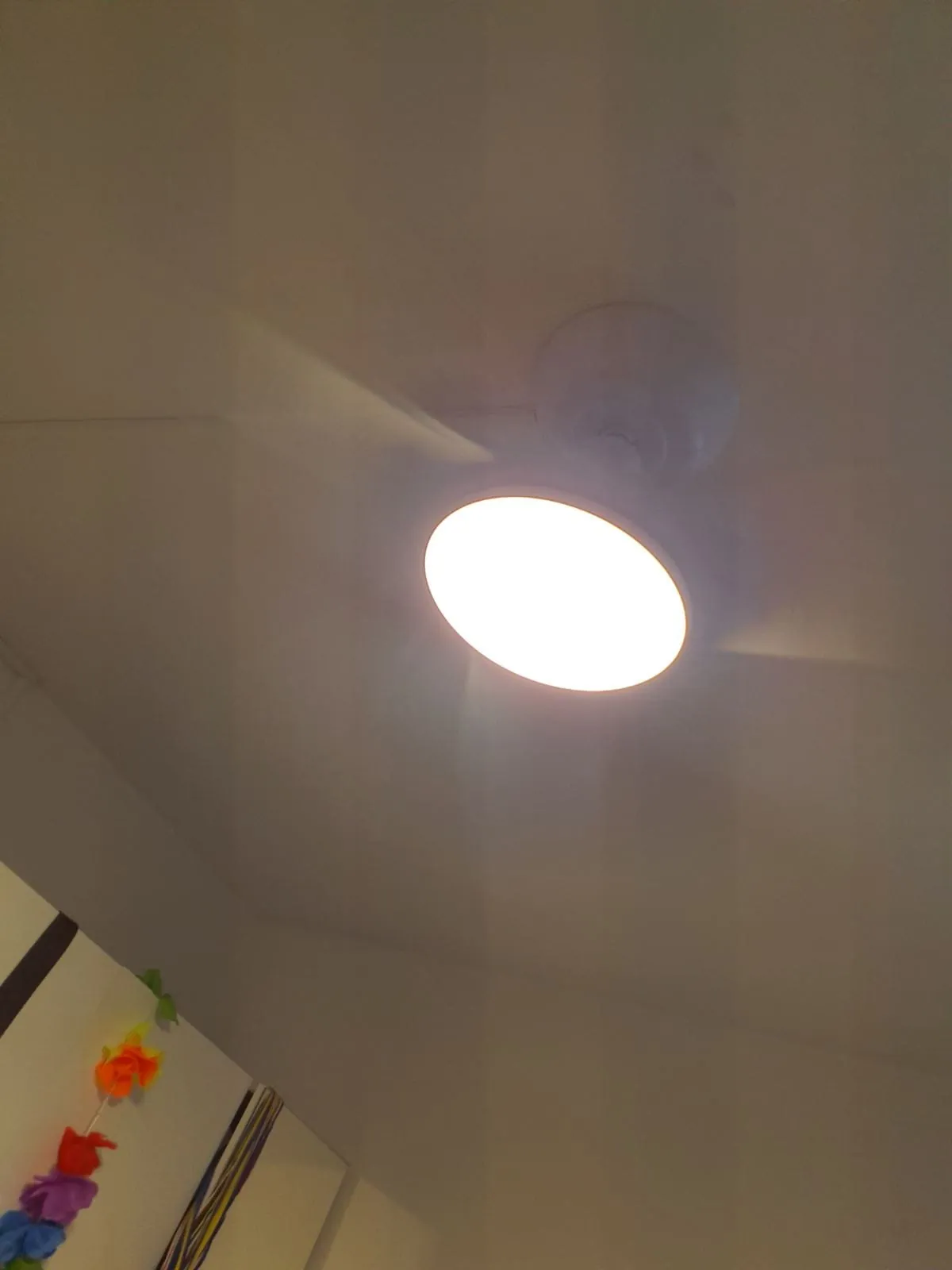 Brasseur d'air FANELITE blanc sous un plafond clair à Sainte-Luce en Martinique