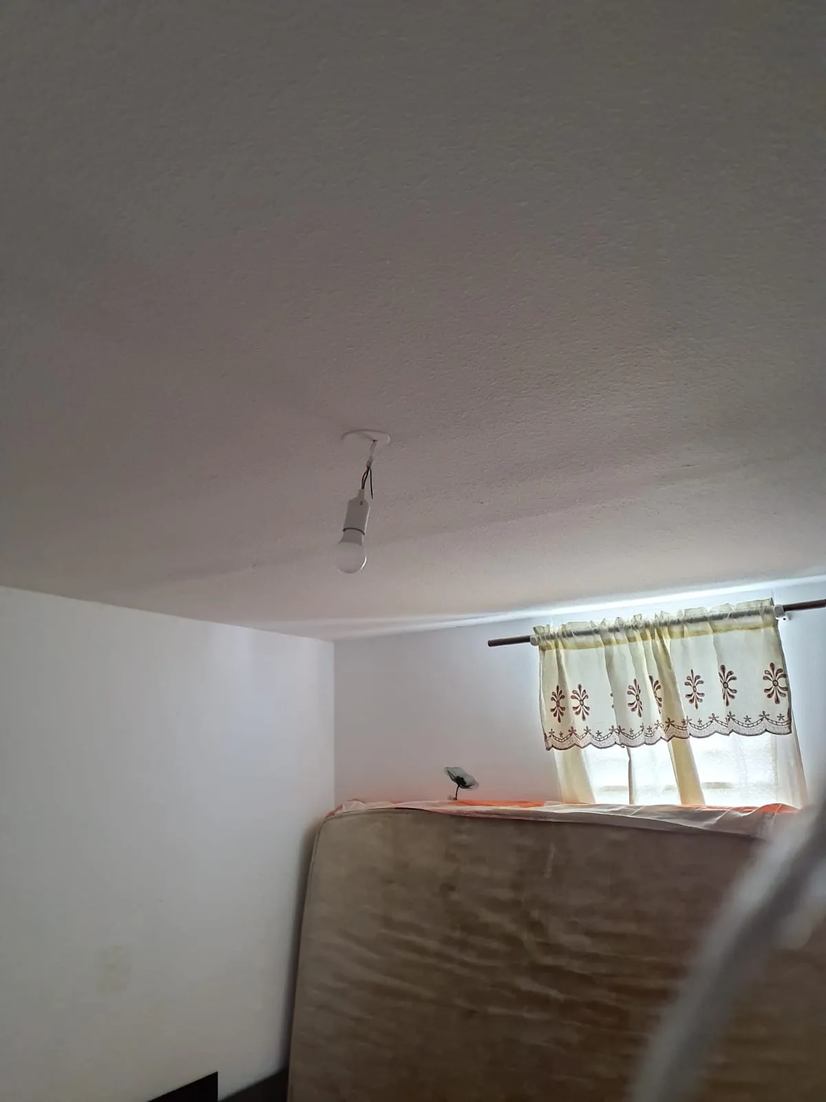 Sortie de fil au plafond d'une chambre avant la pose d'un brasseur FANELITE à Basse-Pointe